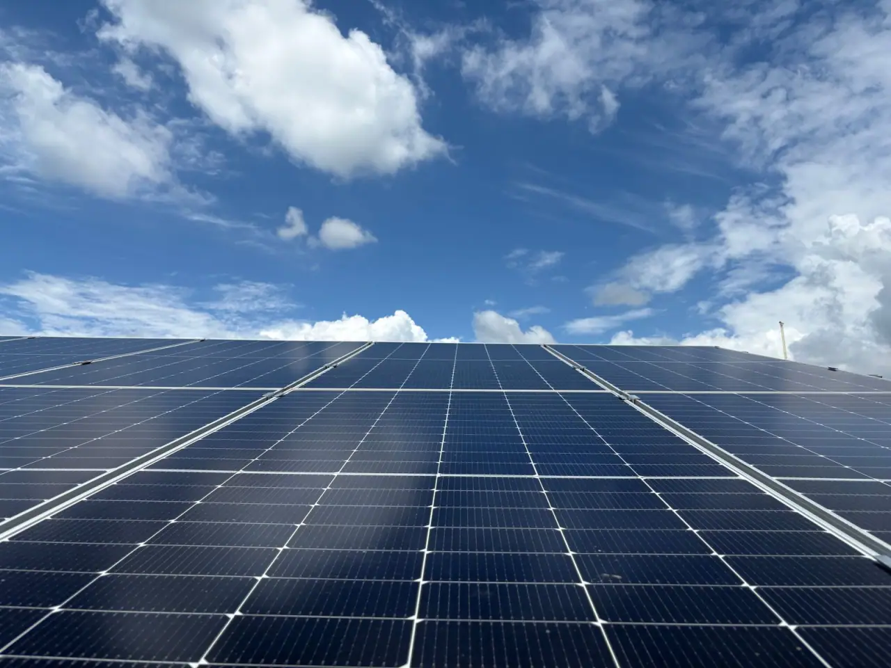 A low-angle view across an array towards an open sky